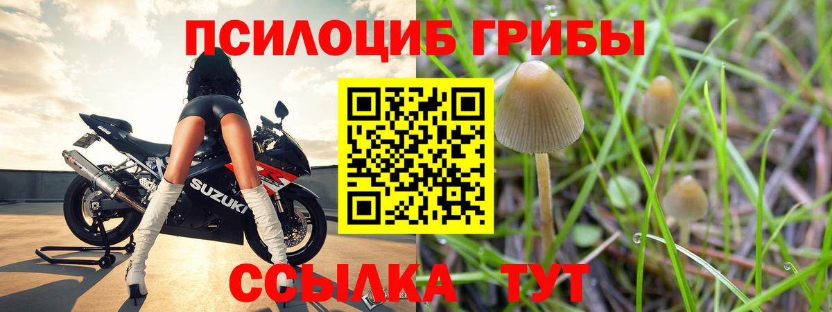 Галлюциногенные грибы мицелий  Вход с VPN  Невинномысск 
